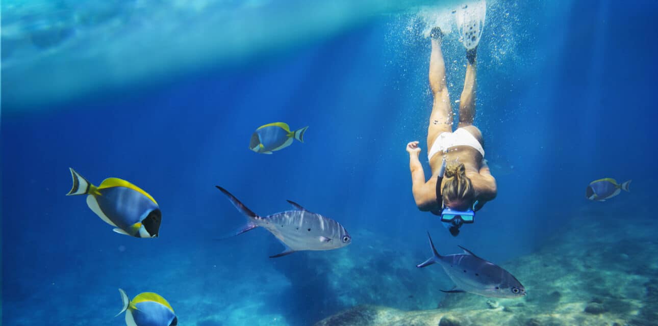 A young girl snorkeling.