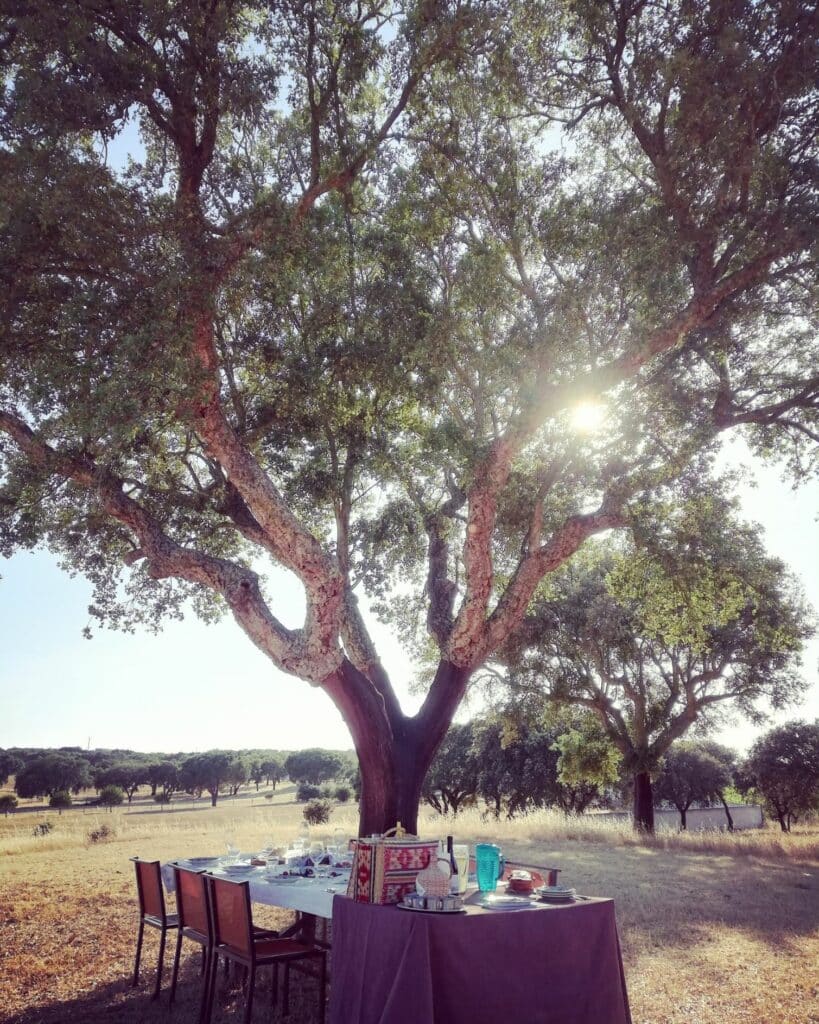 Picnic in Portugal