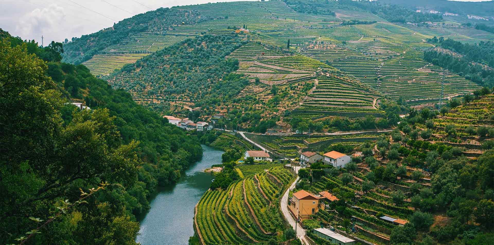 The scenic Douro Valley in Portugal 