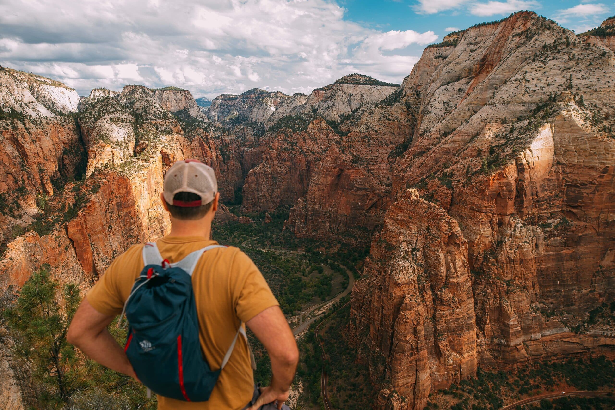 10 Must-See Wildlife in Zion National Park, Bryce Canyon, & the Grand ...