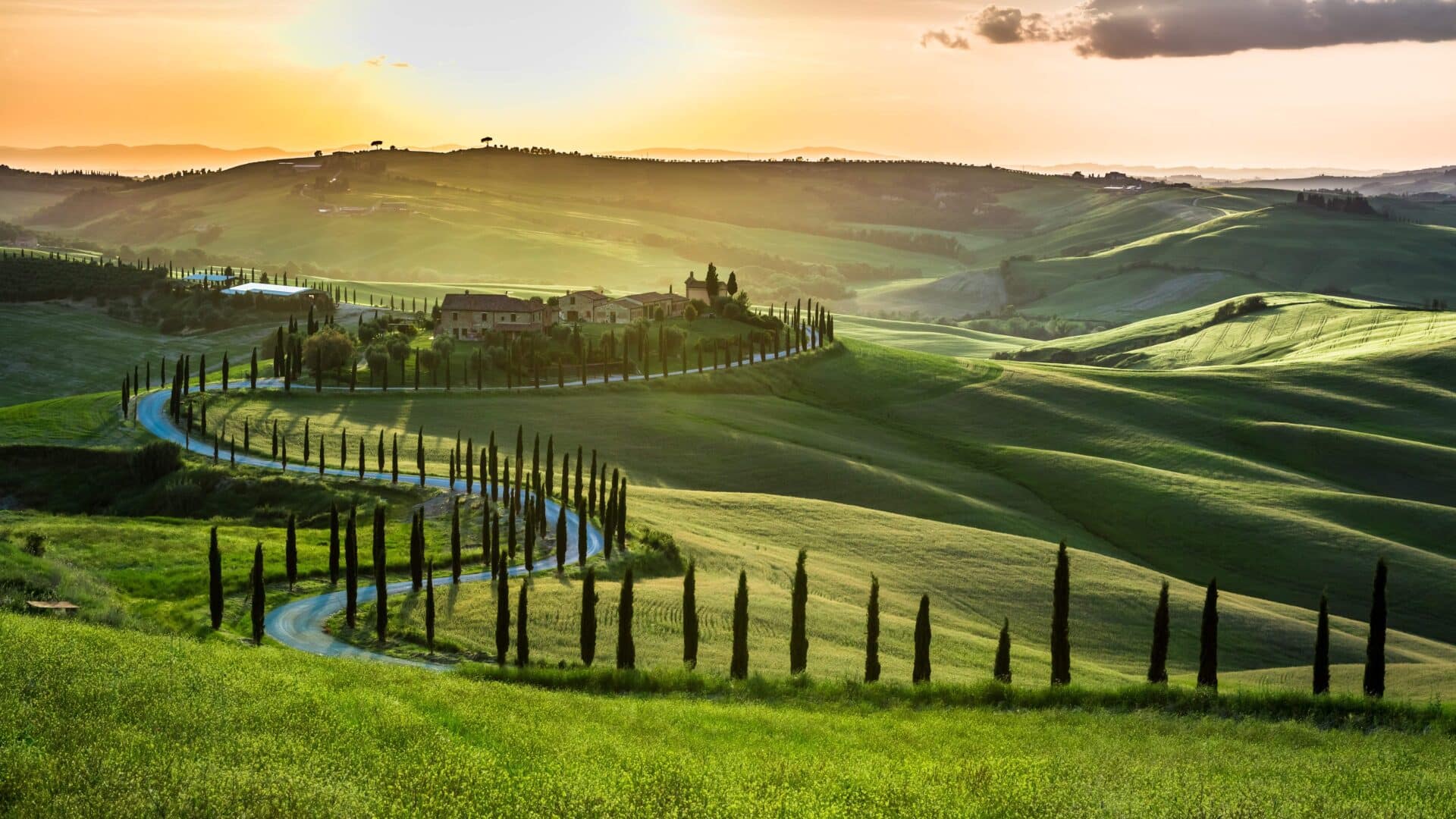 Rolling hills and cypress trees in Tusca