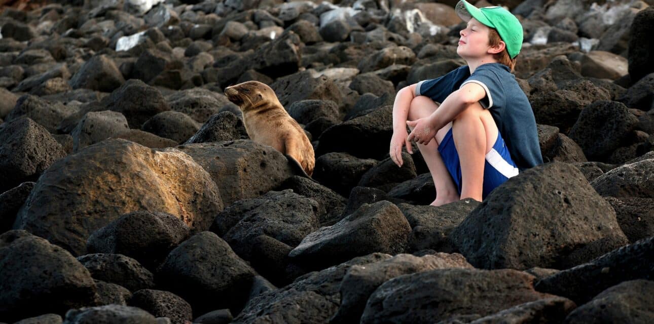 Boy sits on rocks with baby sea lion