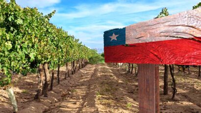 Chile's Maipo Valley Vineyards