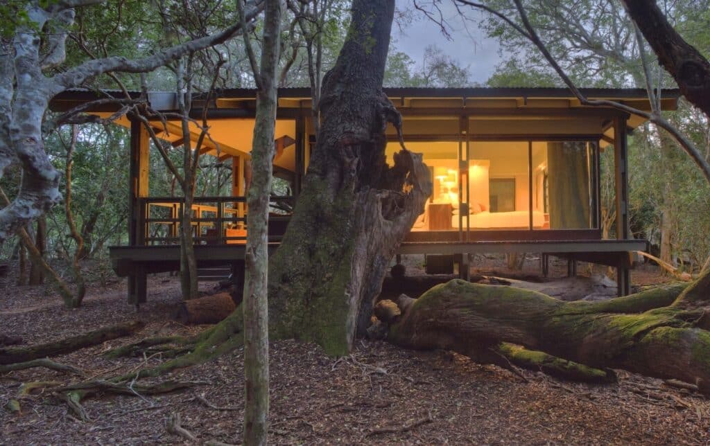 Phinda Forest Lodge