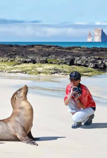 Traveler taking a close picture of a seal on the Galapagos Island Beaches