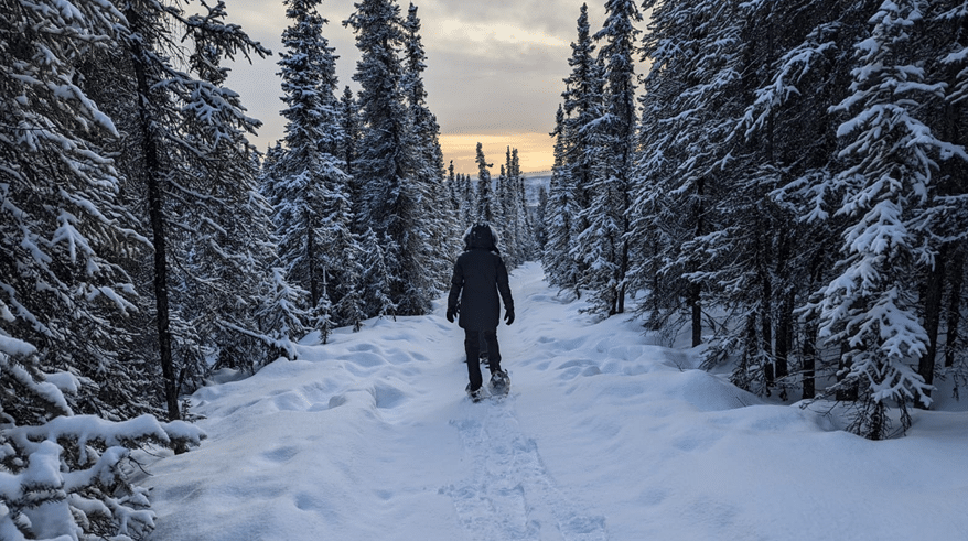 Explore Alaska, on foot at eye level