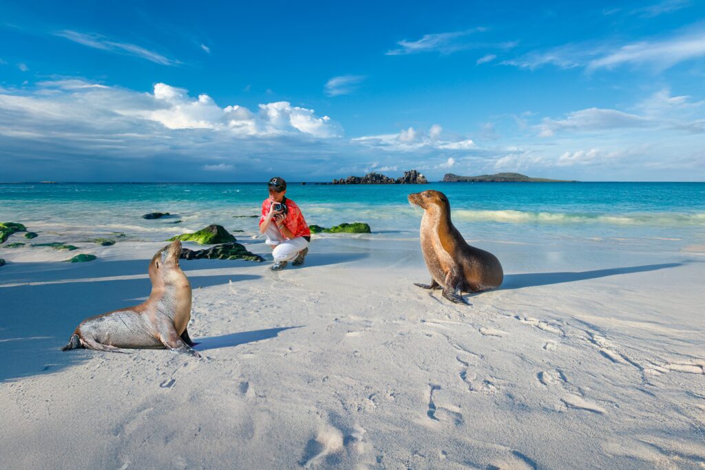 Woman photographing sea lions Galapagos