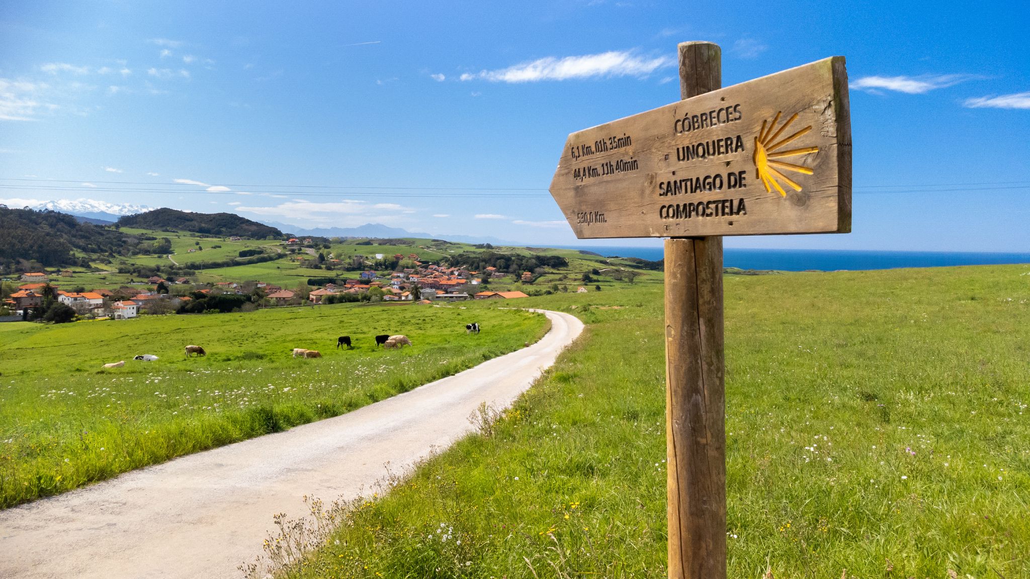 Spain's Best Hiking Trails for Nature Lovers - Camino de Santiago