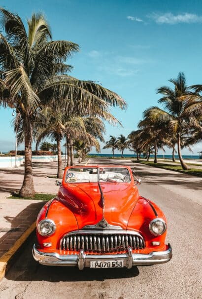 Classic Car Red, Havana, Cuba, Backdrop of Palm Trees, Malecon