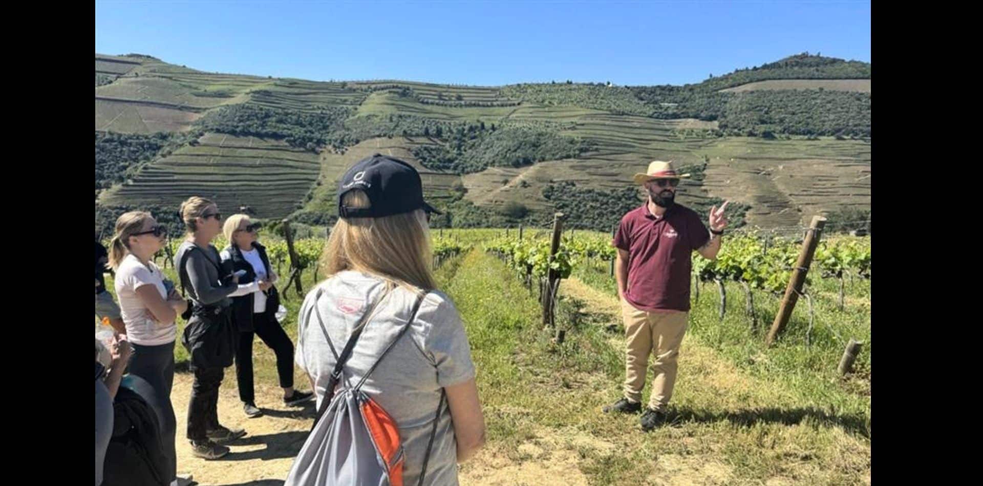 Sip and stroll through Douro Valley's vineyards
