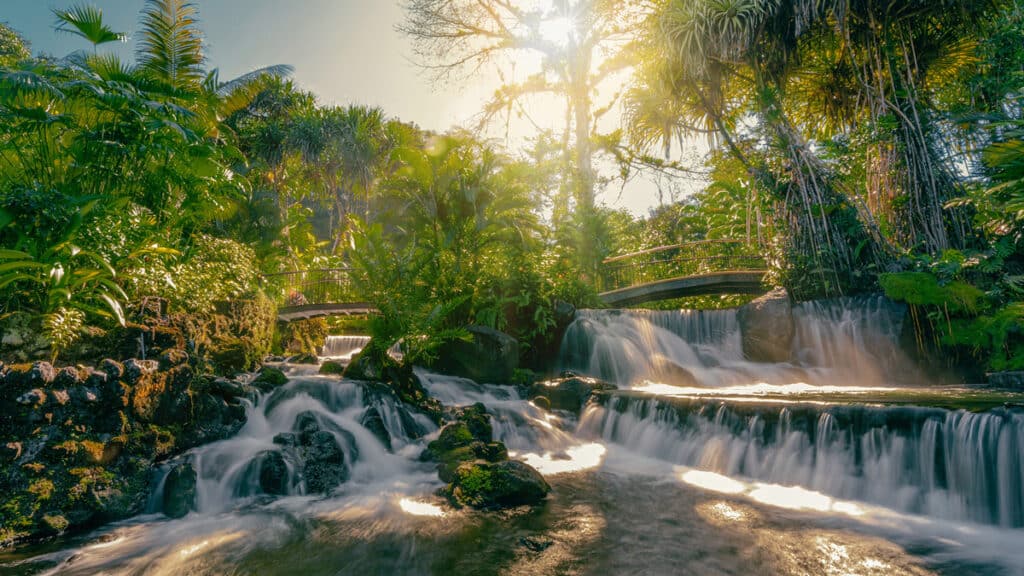 Tabacon hot springs, Arenal, Costa Rica