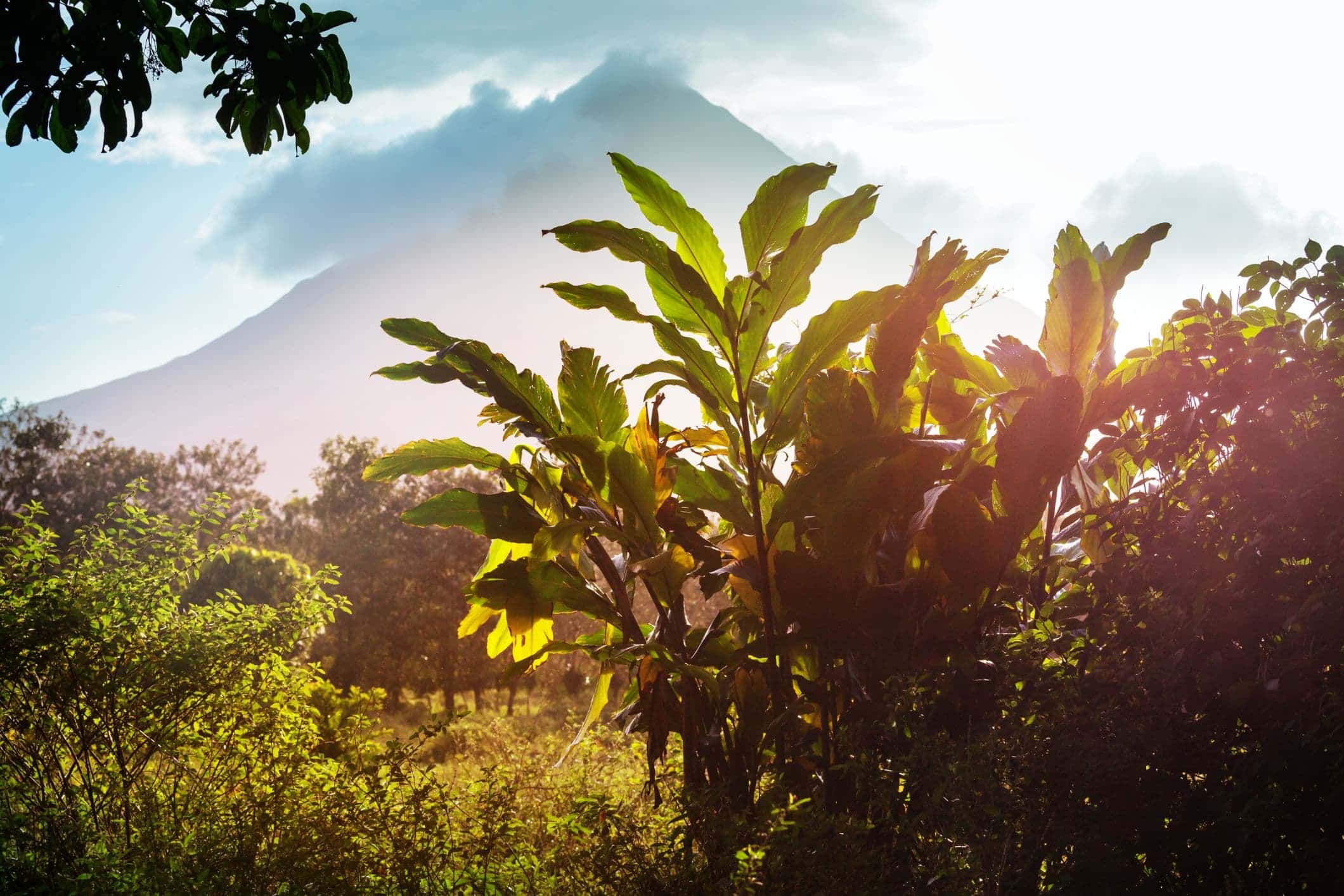 Arenal Volcano in Distance, Costa Rica