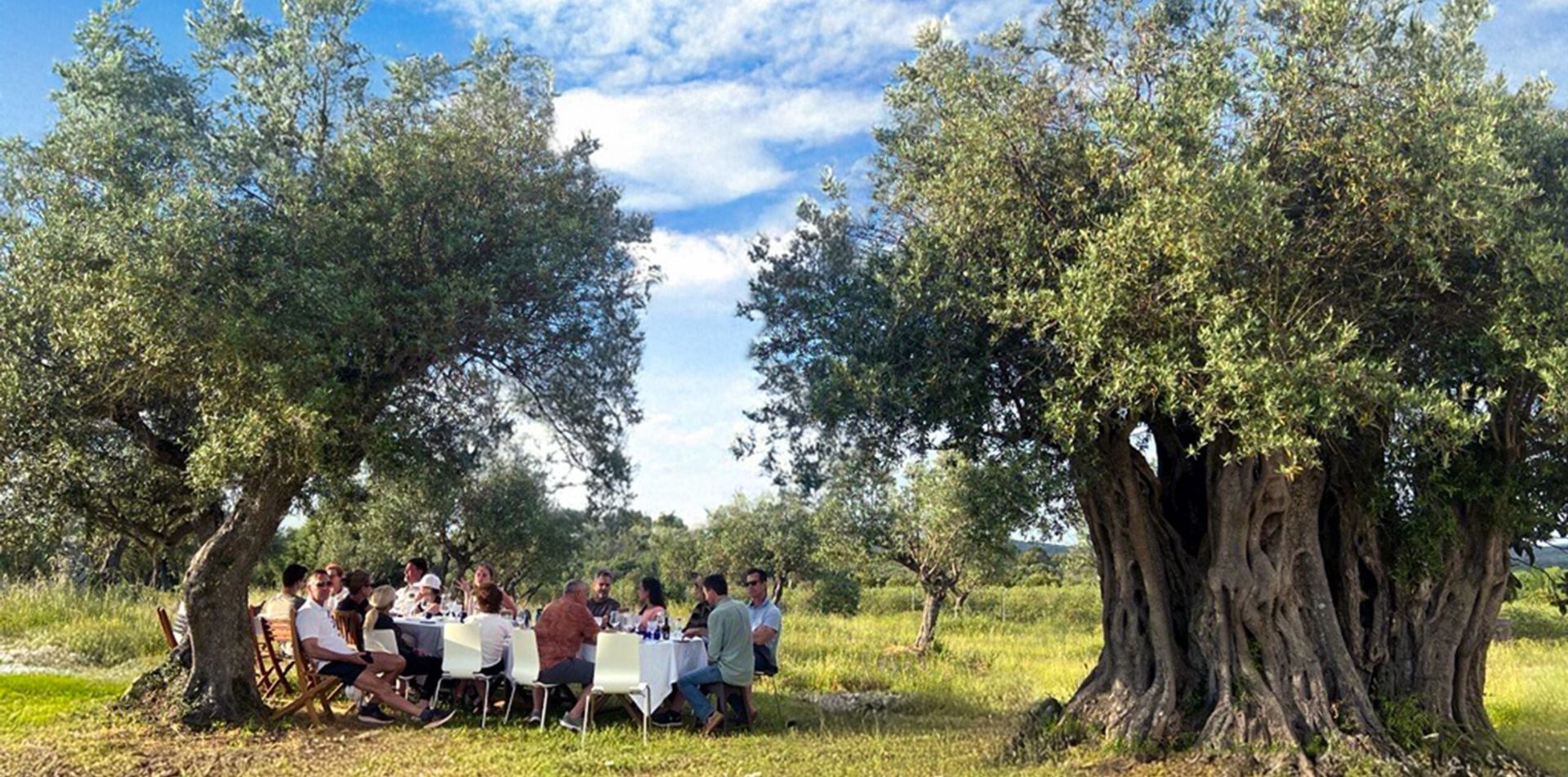 Enjoy a gourmet picnic in Portugal 