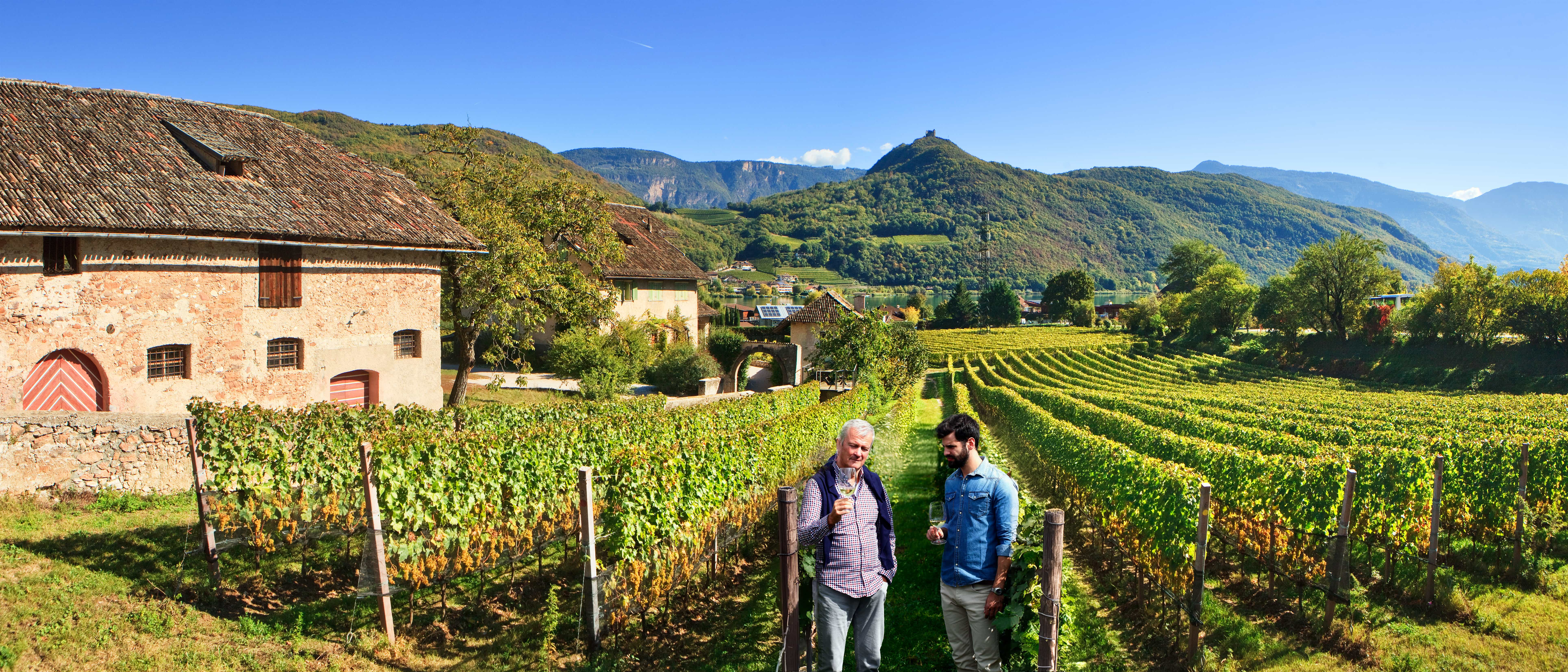 Wine tasting experience at a vineyard in South Tyrol, Dolomites, Italy with Classic Journeys