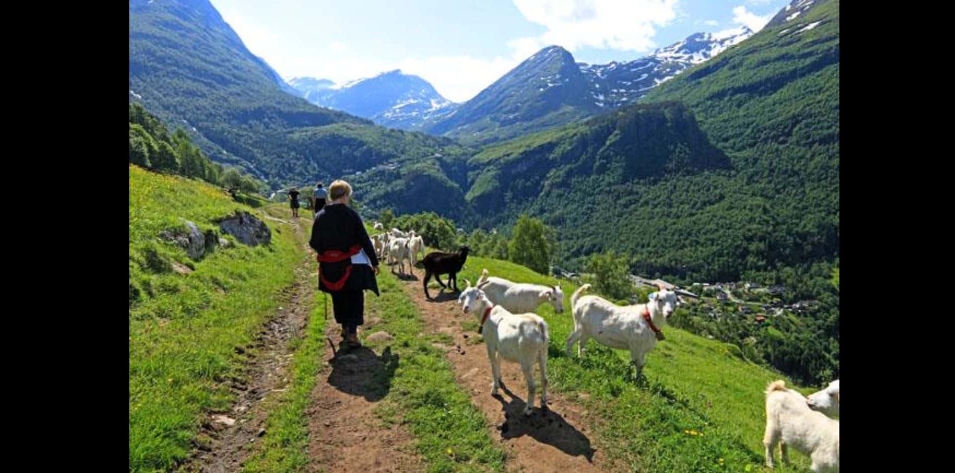 Enjoy walks though nature (and alongside some friendly goats) while on tour