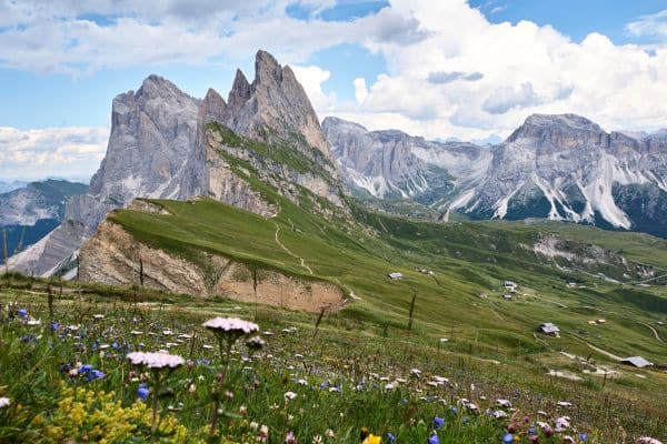 View from the scenic Sceda Ridgeline in the Dolomites of Italy with fields of flowers