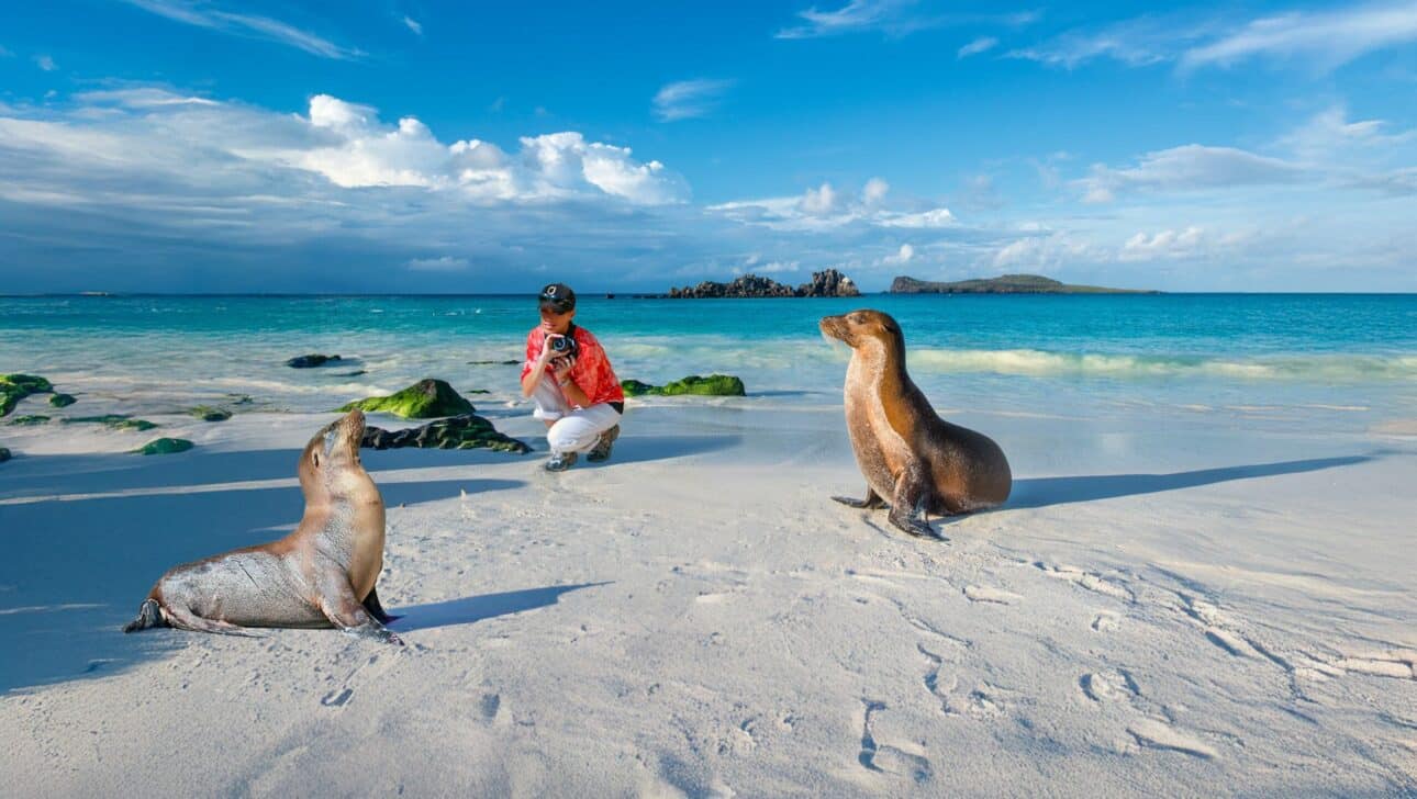 Woman photographing sea lions on the beach in the Galapagos Islands